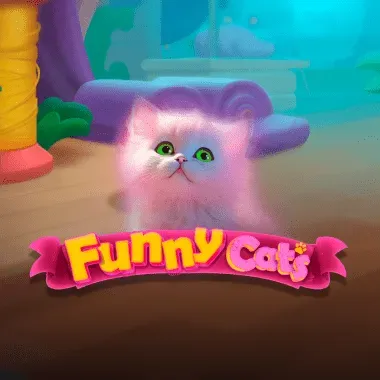 Funny Cats